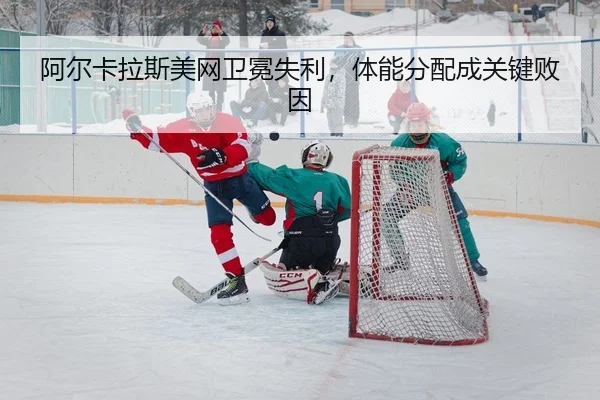 a-er-ka-la-si-mei-wang-wei-mian-shi-li-ti-neng-fen-pei-cheng-guan-jian-bai-yin-2-515.jpg
